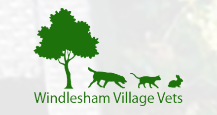 Windlesham Village Pets